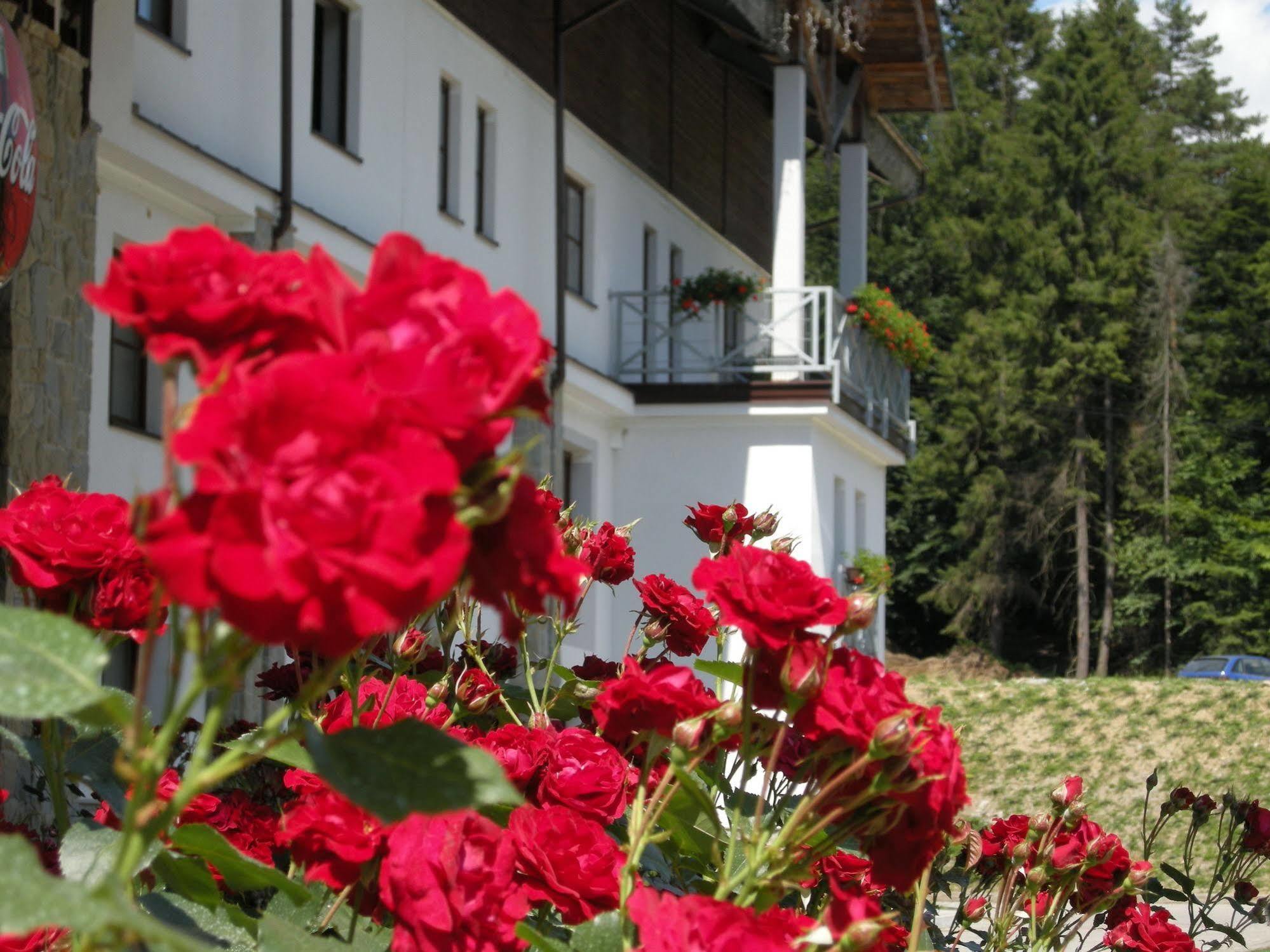 Hotel Jaworzyna Krynicka Krynica Zdroj Eksteriør bilde
